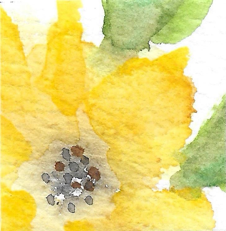 Original artwork by Anet Skillin. This miniature abstract painting features a yellow thunbergia flower and green leaves. Painted on textured cold-press watercolor paper.